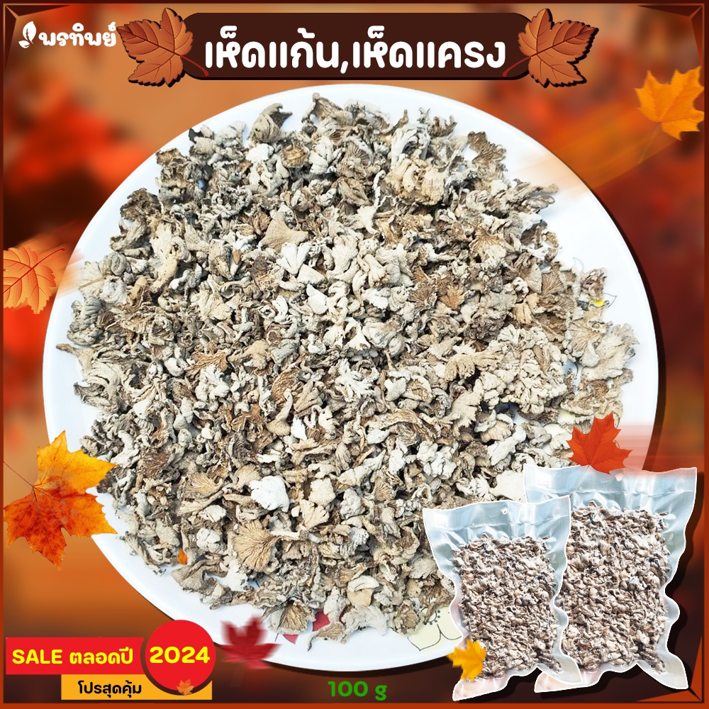เห็ดแก้น เห็นแครงป่า เห็ดตีนตุ๊กแก ตากแห้ง 100g ( เก็บตามธรรมชาติ )ไม่ได้เพราะ เก็บได้นาน