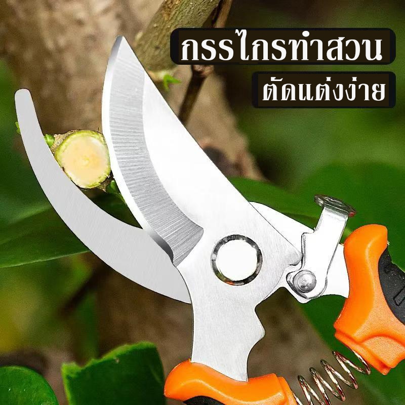 กรรไกรตัดแต่งกิ่ง กรรไกรสวน กรรไกรป้องกันความเสี่ยง กรรไกรซ่อมสาขาดอกไม้ กรรไกรที่ทนทาน สแตนเลส
