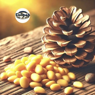 ถั่วเมล็ดสนดิบ Raw Pine nut Organic ขนาด50กรัม/150กรัม/250กรัม