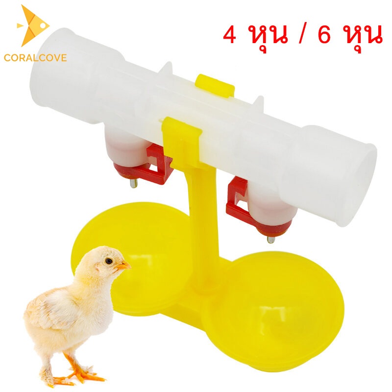 coralcoveshop ถ้วยให้น้ำไก่ เครื่องดื่มน้ำอัตโนมัติสำหรับสัตว์ปีก ขนาด 4 หุน / 6 หุน แบบแขวน