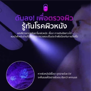 PETKIT LED Pet Nail Clipper Pro White กรรไกรตัดเล็บสำหรับสัตว์เลี้ยง