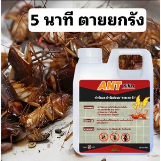 กำจัด ปลวก มด ตายยกรัง 1ลิตรฟรี1ลิตร