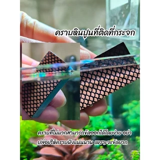 💘ท้าให้ลอง❤️ที่ขัดคราบกระจกตู้ปลา ไม่ทำให้กระจกเป็นรอย นำเข้าจากญี่ปุ่น