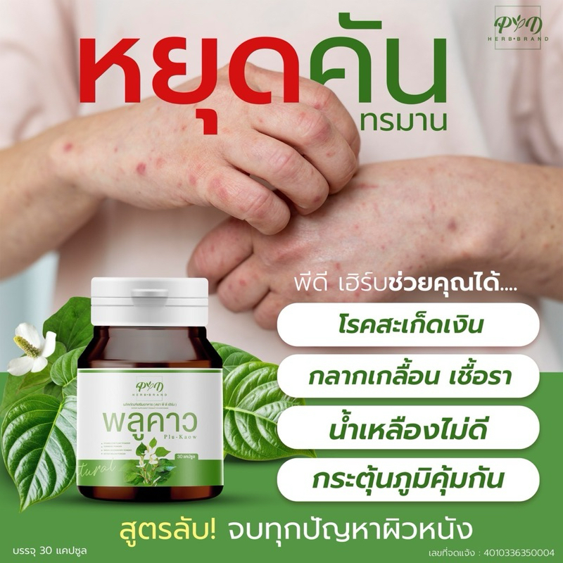 พลูคาวสกัด ผิวหนังสะเก้ดเงิน ผื่นคัน ผลิตภัณฑ์เสริมอาหาร ตราพีดีเฮิร์บ