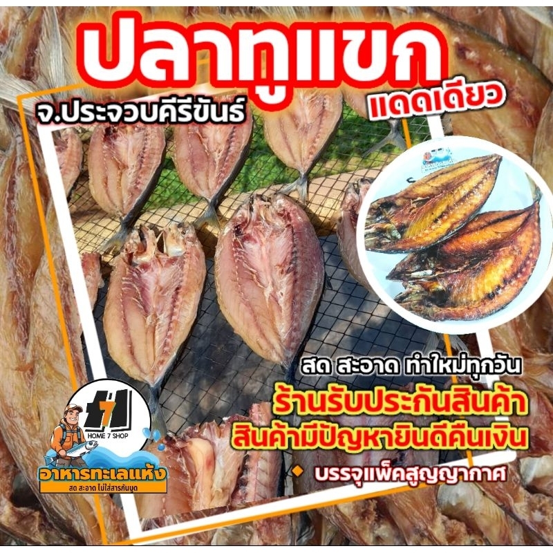 ปลาทูแขก[ผ่าแดดเดียว]น้ำหนัก 500-1000 g. อร่อยค่ะ ห่อหุ้มสูญญากาศ ให้ ไม่เค็ม สด ไม่มีสี ไม่สารกันบูด [ฮาลาล]