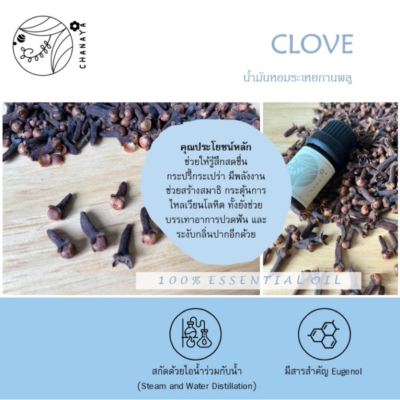 น้ำมันหอมระเหยกานพลู ชานาญา CHANAYA Clove 100% Essential Oil