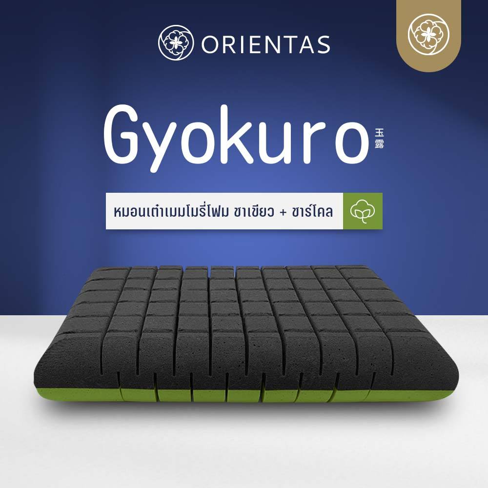 Orientas หมอนเต๋าสลบเหมือด Gyokuro หมอนเมมโมรี่โฟม เพื่อสุขภาพ ออกแบบ 2 โทน ส่วนผสม ชาเขียว ชาร์โคล