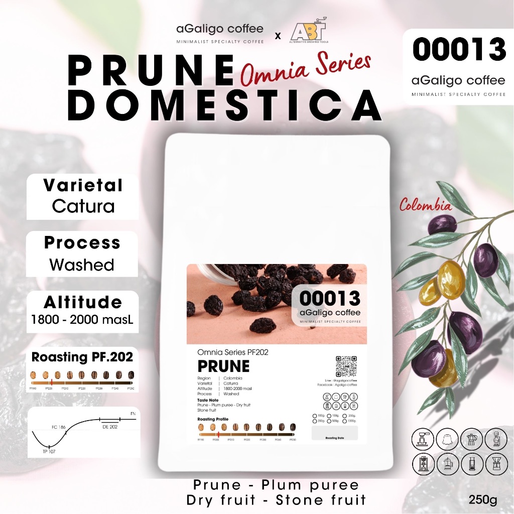 Agaligo coffee Roaster เมล็ดกาแฟ Omnia Series PF.202 Prune Domestiga #00013