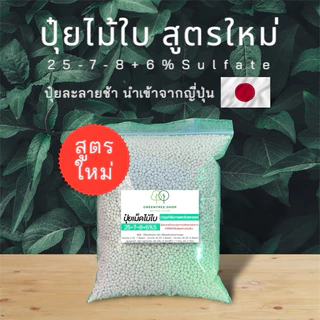 ปุ๋ย ปุ๋ยไม้ใบ ไนโตเจนสูง ผักทานใบ ไทรเกาหลี กวักมรกต มอนสเตล่า ไทรใบสัก ยางอินเดีย ล่ำซำ กระดุมใบเงิน สนามหญ้า