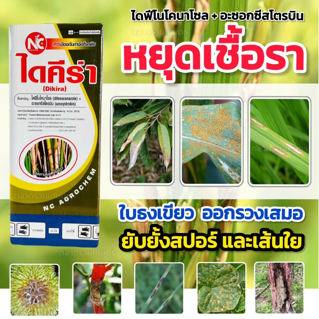 ไดคีร่า อะซอกซีสโตรบิน+ไดฟีโนโคนาโซล สูตรเย็น สารป้องกันและกำจัดโรคพืช เชื้อราโรคพืช สารเดียวกับ ออติวา เอ็กซติวา ตราNC