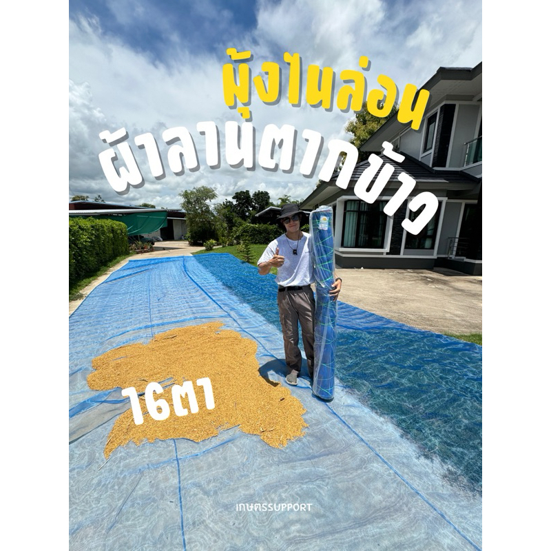 มุ้งไนล่อน ตาข่ายกันแมลง ผ้าแยงเขียว ผ้าลานตากข้าว กว้าง 250-500 ซม ยาว 30 หลาเต็ม  มุ้งฟ้า อย่างดี