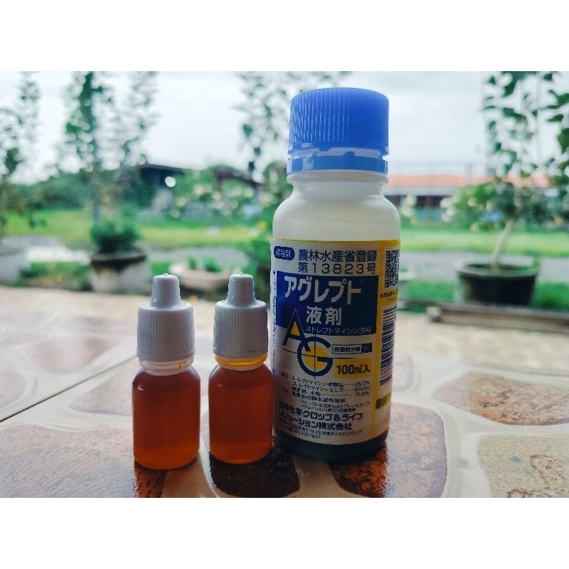 สเตรปโตมัยซิน (สลายเมล็ดองุ่น) แบ่งขาย 5 cc สารสำหรับใช้ในการทำให้องุ่นไร้เมล็ด นำเข้าจากญี่ปุ่นแท้