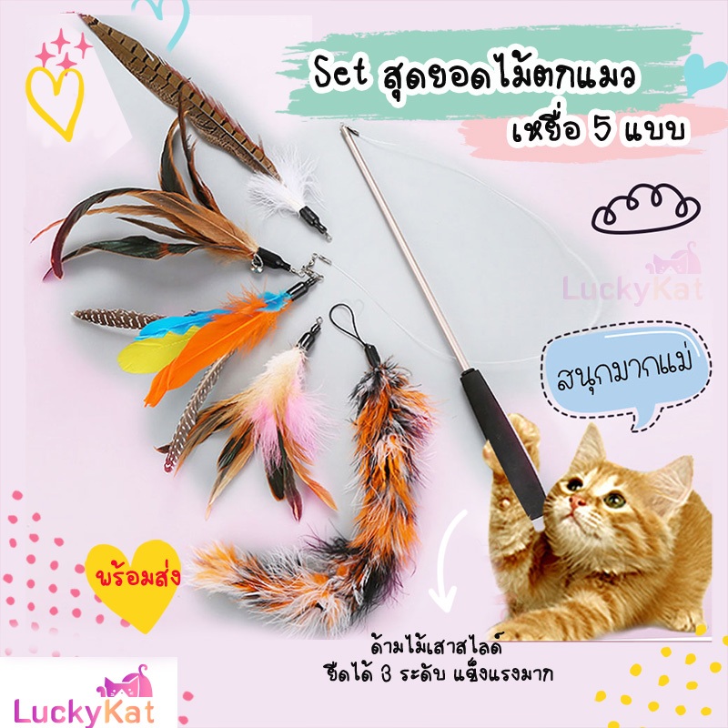 ของเล่นแมว ไม้ตกแมว ไม้ล่อแมว แถมเหยื่อ 5 แบบ ไม้แข็งแรงปรับได้ 3 ระดับ ไม้เล่นกับแมว
