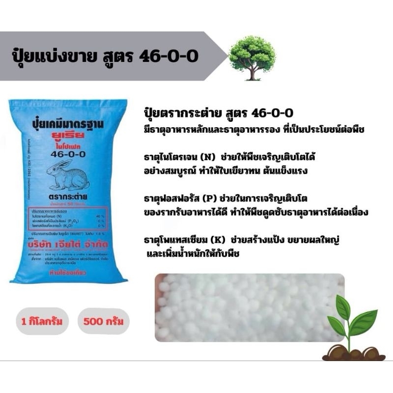 ปุ๋ยตรากระต่าย แบ่งขาย สูตร 46-0-0 ขนาด500กรัม และ 1กิโลกรัม