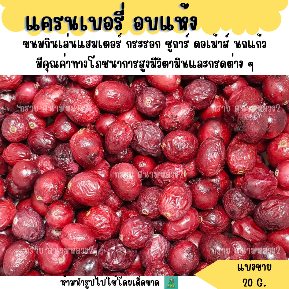 แครนเบอรี่ อบแห้ง (แบ่งขาย 20 G.) ขนมกินเล่นแฮมเตอร์ กระรอก ชูการ์ ดอเม้าส์ นกแก้ว