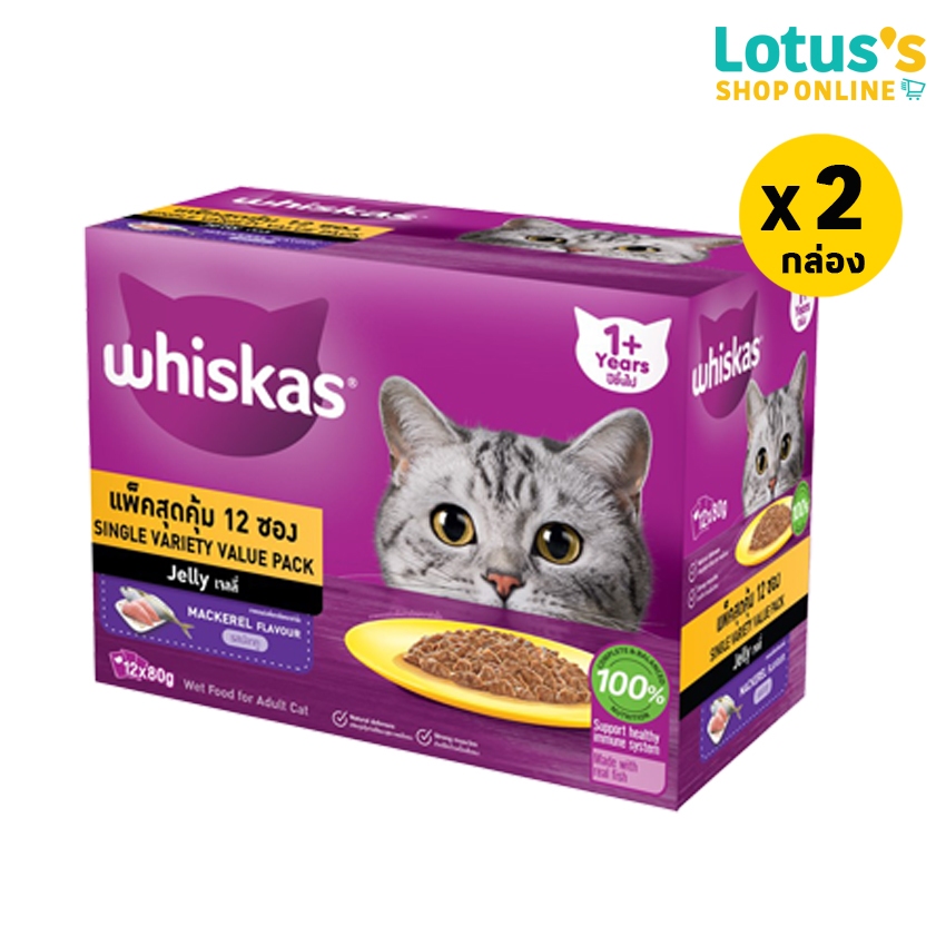 รูปภาพ 9