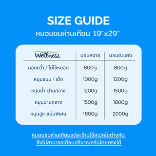 Wellness หมอนขนห่านเทียม รุ่น Microfiber Pillow 1200g (Soft/นุ่มจม หนุนกลาง)