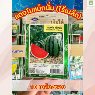 ซองเล็ก มีครบ เมล็ดพันธุ์แตงโม เจียไต๋ ซอนญ่า เมญ่า ทัมอัพ แบล็คบอมบ์ รันรัน แตงโมไร้เมล็ด