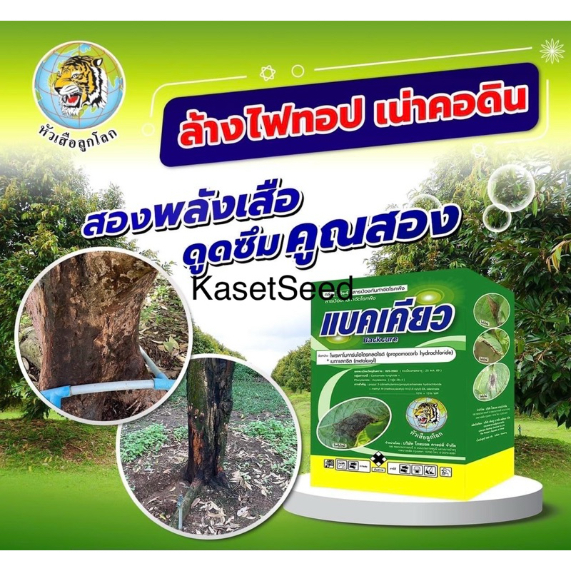 แบคเคียว 1กก ใบไหม้ในข้าว ไฟทอปเทอร่า รากเน่า โคนเน่า