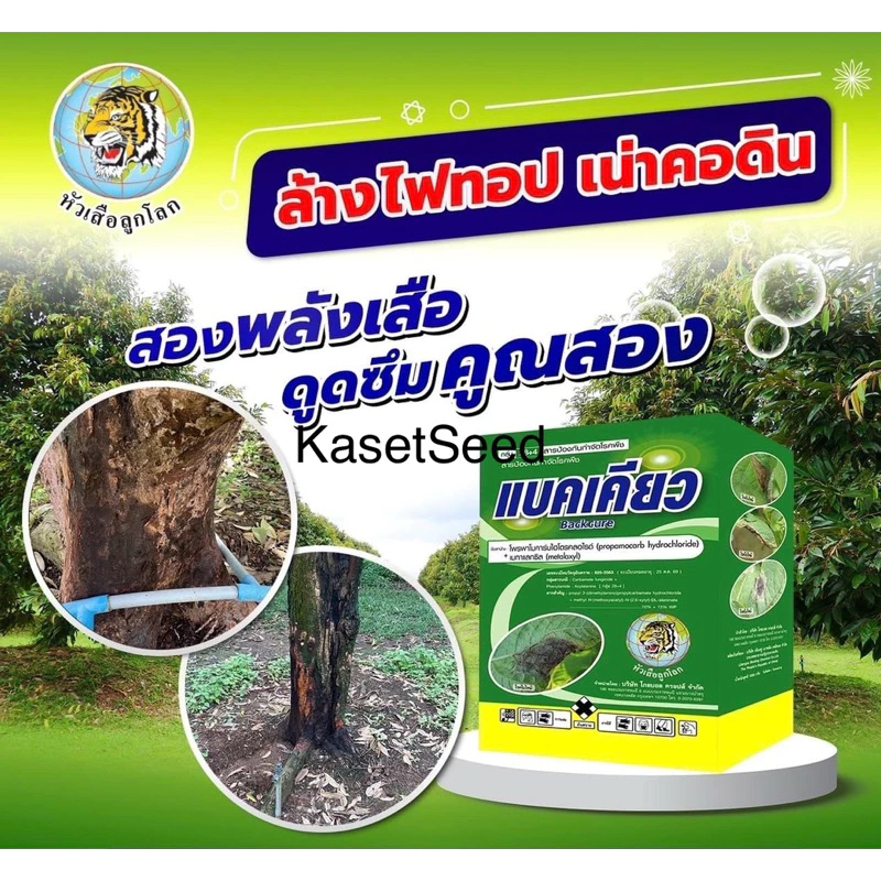 แบคเคียว 1กก ใบไหม้ในข้าว ไฟทอปเทอร่า รากเน่า โคนเน่า