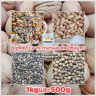 ถั่ว วอลนัท เฮเซลนัท ไพน์นัท และ ธัญพืชอาหารสัตว์ฟันแทะตระกู…