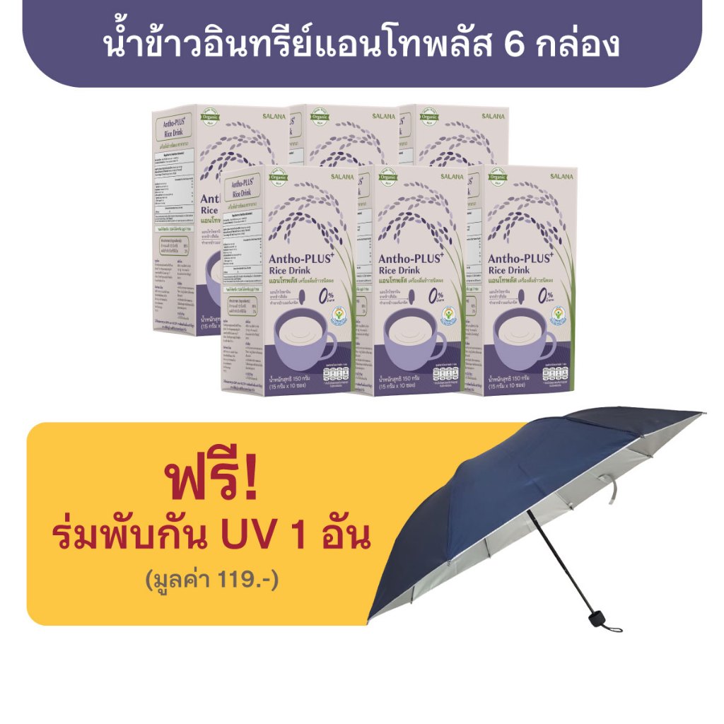[ชุด 6 กล่อง] น้ำข้าวแอนโทพลัส Antho-Plus+ Rice Drink (ออร์แกนิค)