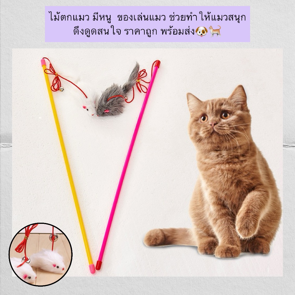 MG-592 ไม้ตกแมวรูปหนู ของเล่นแมวสุดเพลิน ช่วยเพิ่มความสนุกและกระตุ้นความอยากเล่นของน้องแมว ราคาถูก พร้อมส่ง 🐶🐈