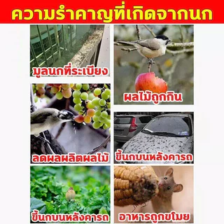 แลนเนท ยาเบื่อนก ยาฆ่านกพิราบ 500g ยากำจัดนกพิราบ ทำลายอวัยวะภายในตายใน 1วัน แห้งเร็วและไม่มีกลิ่น เห็นผลชัวร์ 100%
