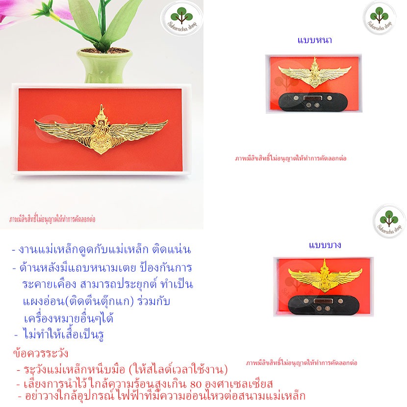 ปีกกระโดดหอ​ สกาย21 ปีกสก มีแบบแม่เหล็กและเข็มหมุด มีแบบงานน๊อตและแบบงานปั๊ม อ่านรายละเอียดก่อนสั่งจ้า