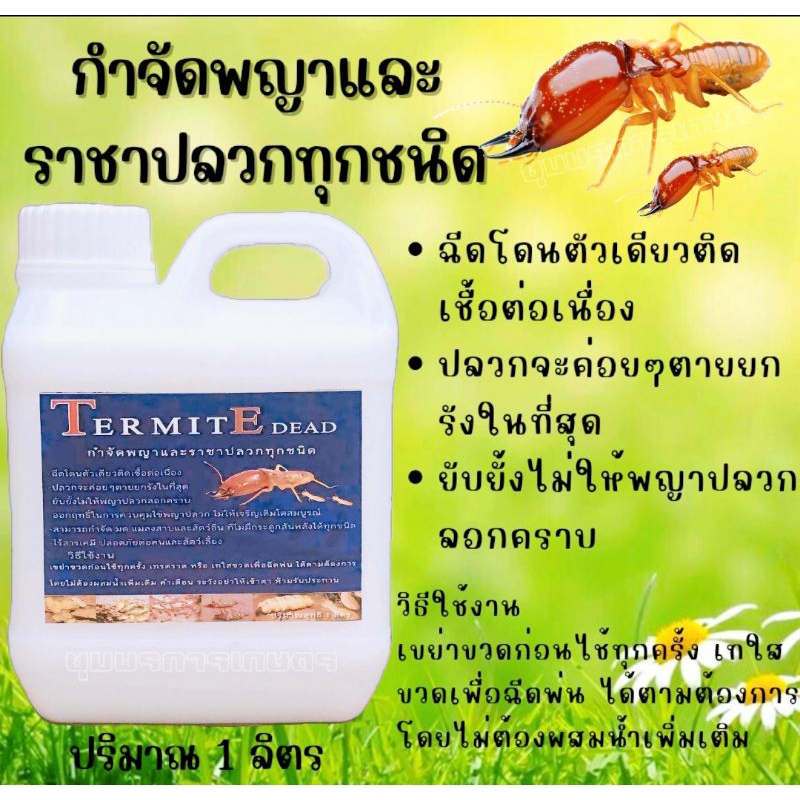 น้ำยากำจัดนางพญาปลวก ขนาด 1 ลิตร สูตรนี้ไม่ต้องผสมน้ำค่ะ