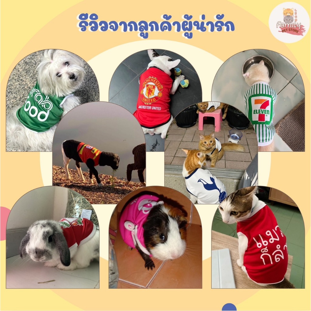 รูปภาพ 3