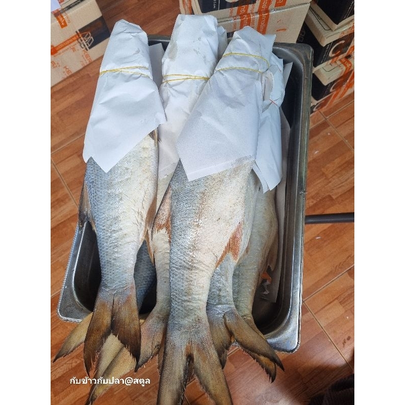 ปลากุเลาหอมเค็ม หมักจากบนเรือ ล้างสะอาดก่อนส่ง หอมอร่อย