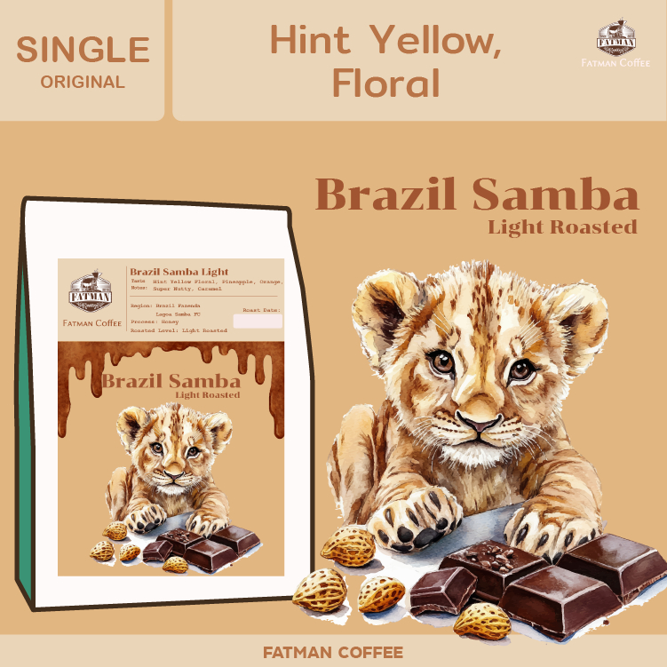 เมล็ดกาแฟ Brazil Samba Light