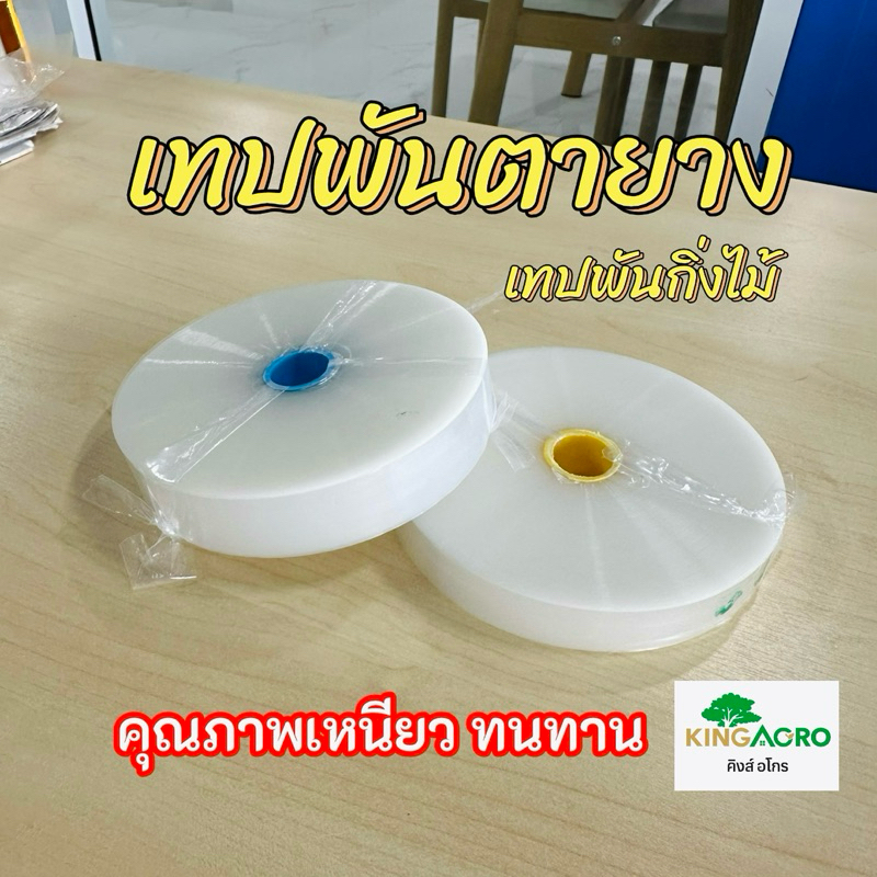 เทปพันตายาง เทปพันกิ่ง หน้ากว้าง 2 cm, 2.5 cm.