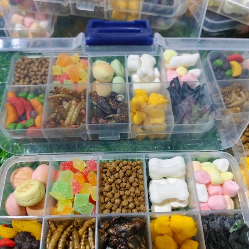Set box บ้านมี้หวาน ขนมสัตว์ฟันแทะ หนู ชูก้า เม่นแคระ