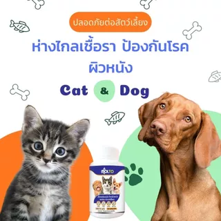 MOLTO เสริมอาหารสัตว์เลี้ยง เชื้อราแมว/สุนัข ขนร่วง คัน ป้องกันโรคผิวหนัง
