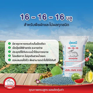 16-16-16กระต่ายบลู (เม็ดสีฟ้า) ปุ๋ยแตงโม และพืชผัก ผลไม้