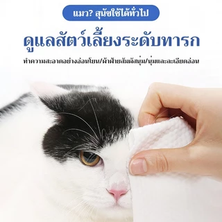 ทิชชู่เปียกสัตว์เลี้ยง สำหรับเช็ดสัตว์เลี้ยง แผ่นเช็ดแมว ทิชชู่หมา ทิชชู่เปียก 80 แผ่น