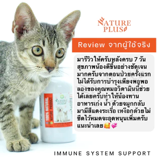 [แท้100%] สเปรย์สมานแผลในปากแมว แผลในปากสุนัข ปากสุนัขเป็นแผล สมานไว ช่วยเสริมสร้างภูมิคุ้มกันสำหรับหมาแมว Nature Plus