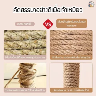 COCO.PET ที่ข่วนเล็บแมวแบบเสาหลายขนาด เสาข่วนเล็บแมว เสาลับเล็บของเล่นแมว ที่ข่วนเล็บ ทาสแมว คอนโด บ้านแมว