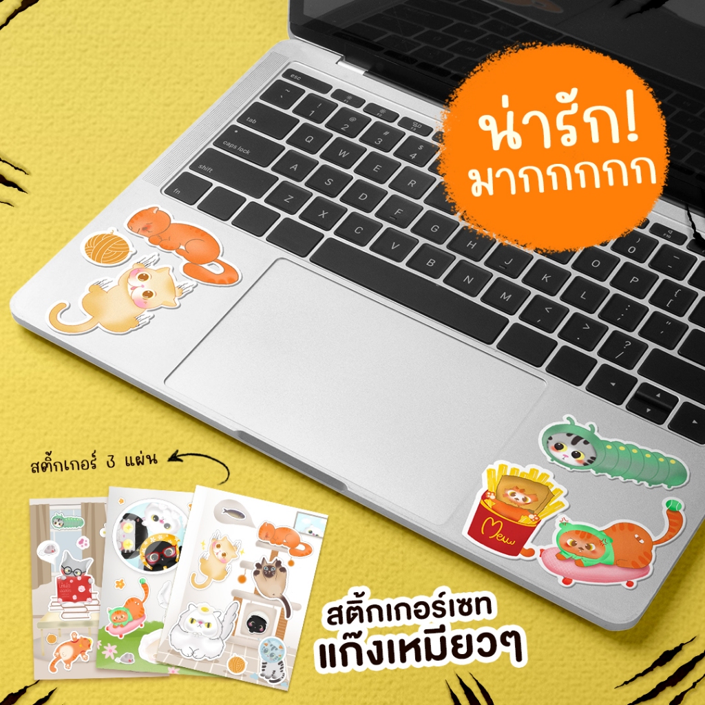 [เพ็ตจนานุกรม] หนังสือ โค้ดลับแมวเหมียว: ถอดรหัส Error 404 เธอจะเป็นทาสที่ดีขึ้น | หนังสือแมว