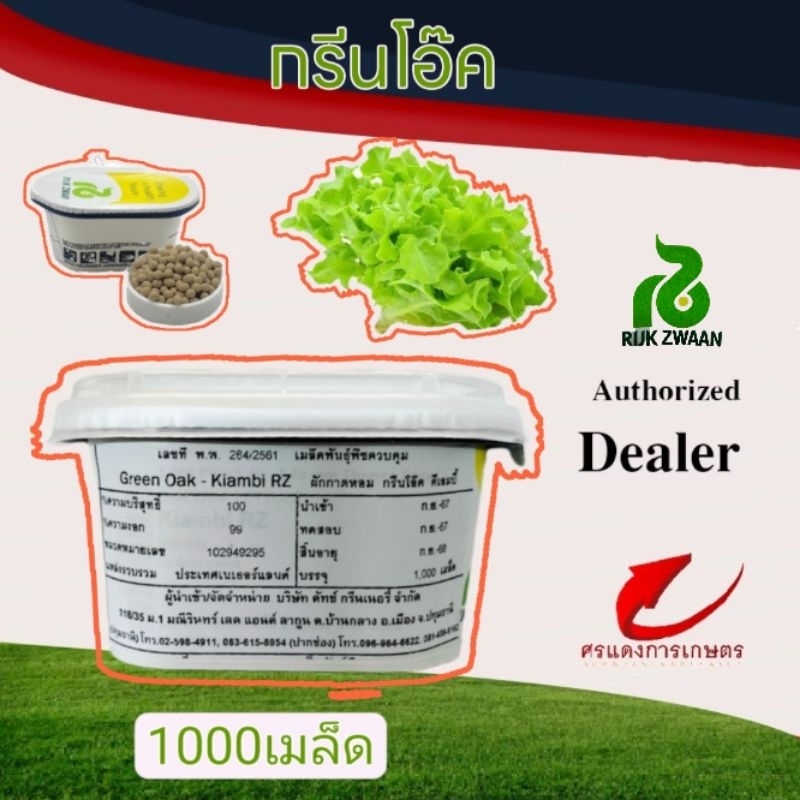 ผักสลัดกรีนโอ๊ค เรดโอ๊ค 1,000 เมล็ด