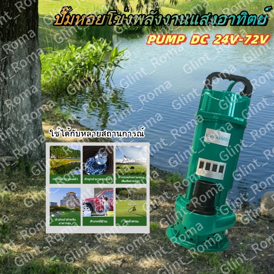 ปั๊มจุ่ม, ปั๊มน้ํา, 24/48/72V, แกนทองแดงเต็มไร้แปรง, ความสามารถในการดูดซับน้ําที่แข็งแกร่ง