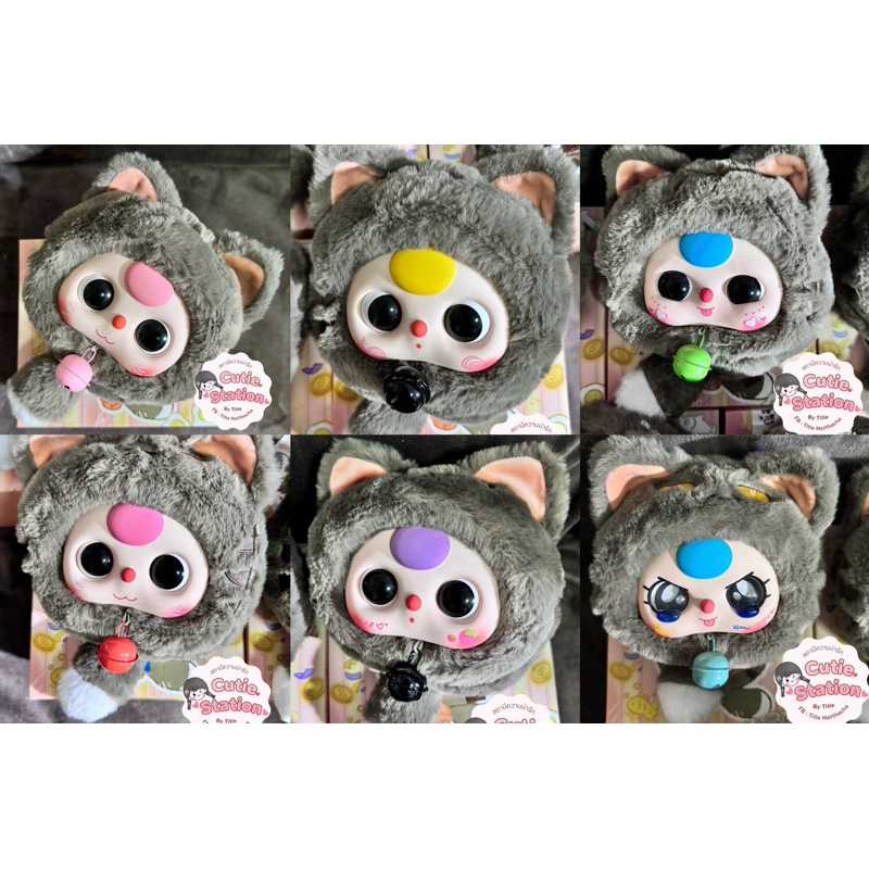 BBT Lucky Cat น้องแมวสลิด แบบเช็คตัว