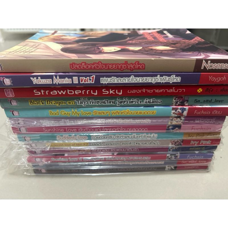 นิยายมือสอง Sugar Rain Ep.1 [พร้อมส่ง]