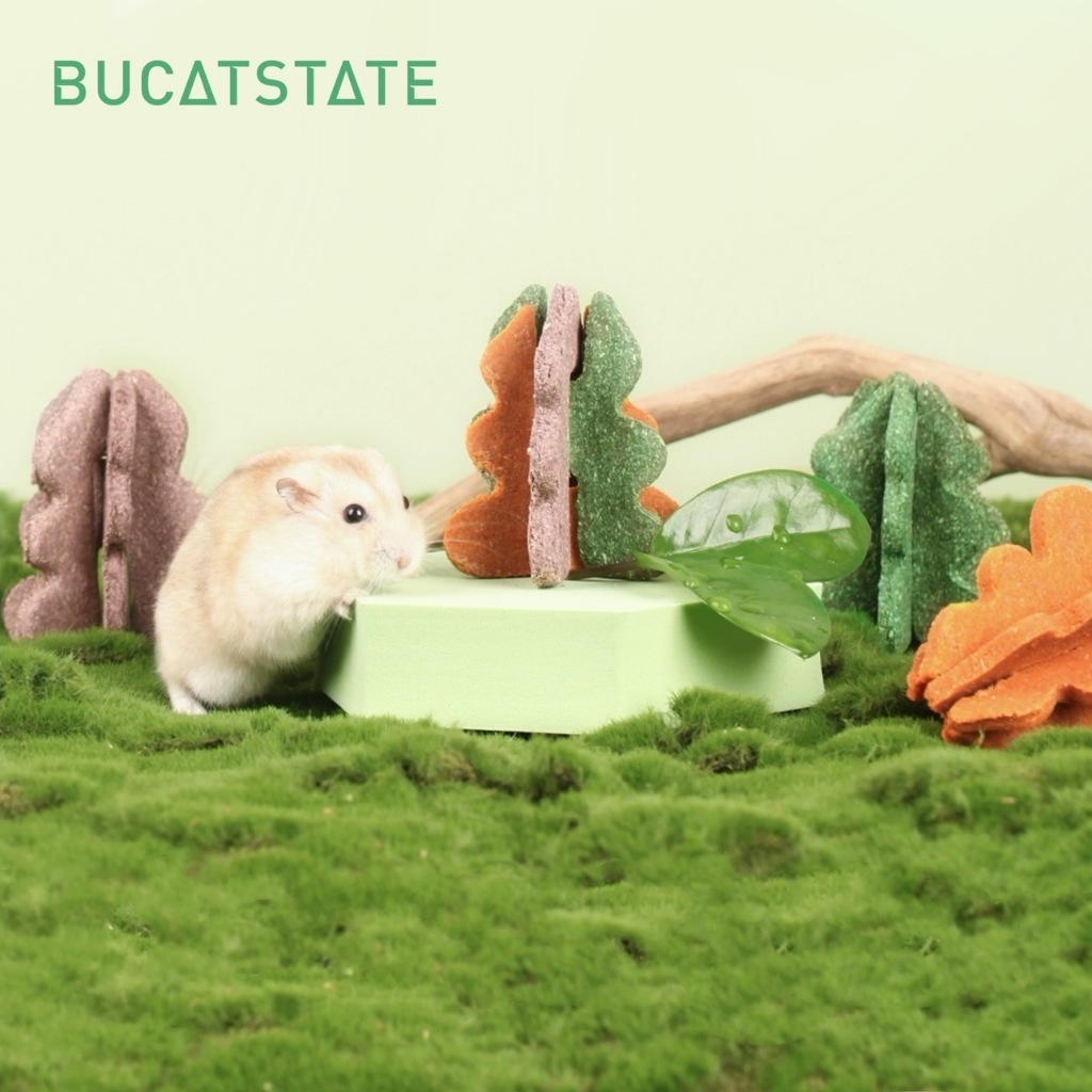 ร้านโทโมะ Bucatstate รวมขนมลับฟัน ขนมเคี้ยวกรอบ สำหรับ แฮมสเตอร์ ดีไซน์สุดแปลกใหม่ และน่ารัก