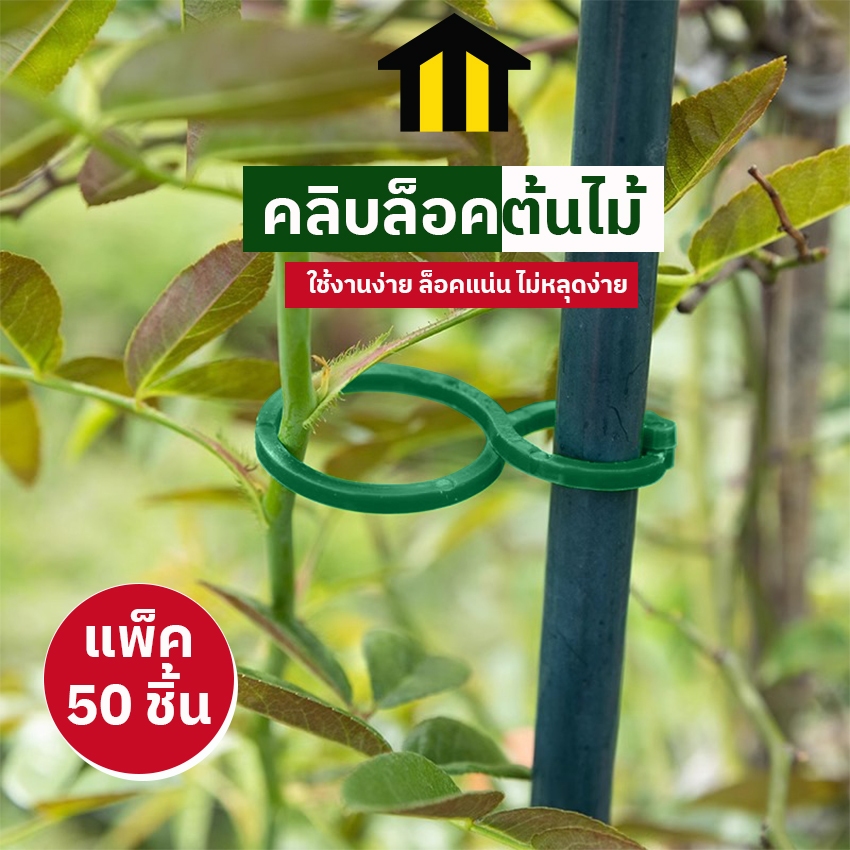 Monza คลิปหนีบต้นไม้ แหวนรัดกิ่ง คลิบล็อคต้นไม้ สำหรับไม้เลื้อย ต้นไม้เล็ก เซ็ต 50 ชิ้น No.Y2117