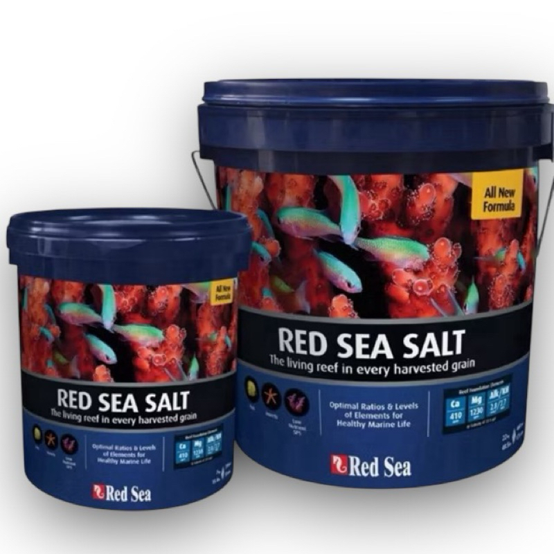 RS 11066/65 SALT BUCKET เกลือทะเล