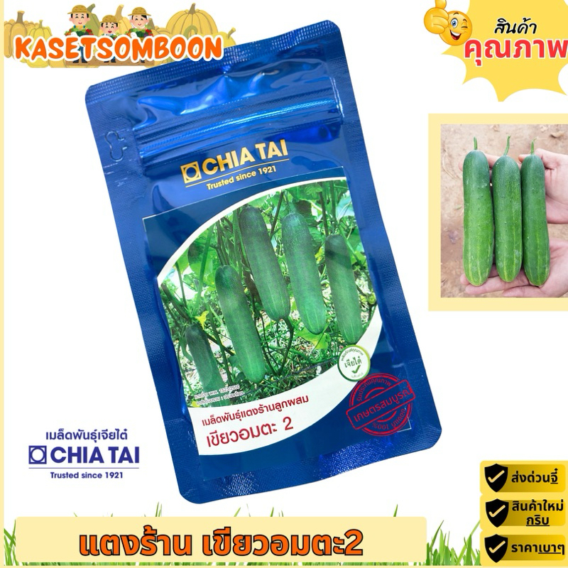 แตงร้านเขียวอมตะ2 เมล็ดพันธุ์ 100 ก. ตราเจียไต๋