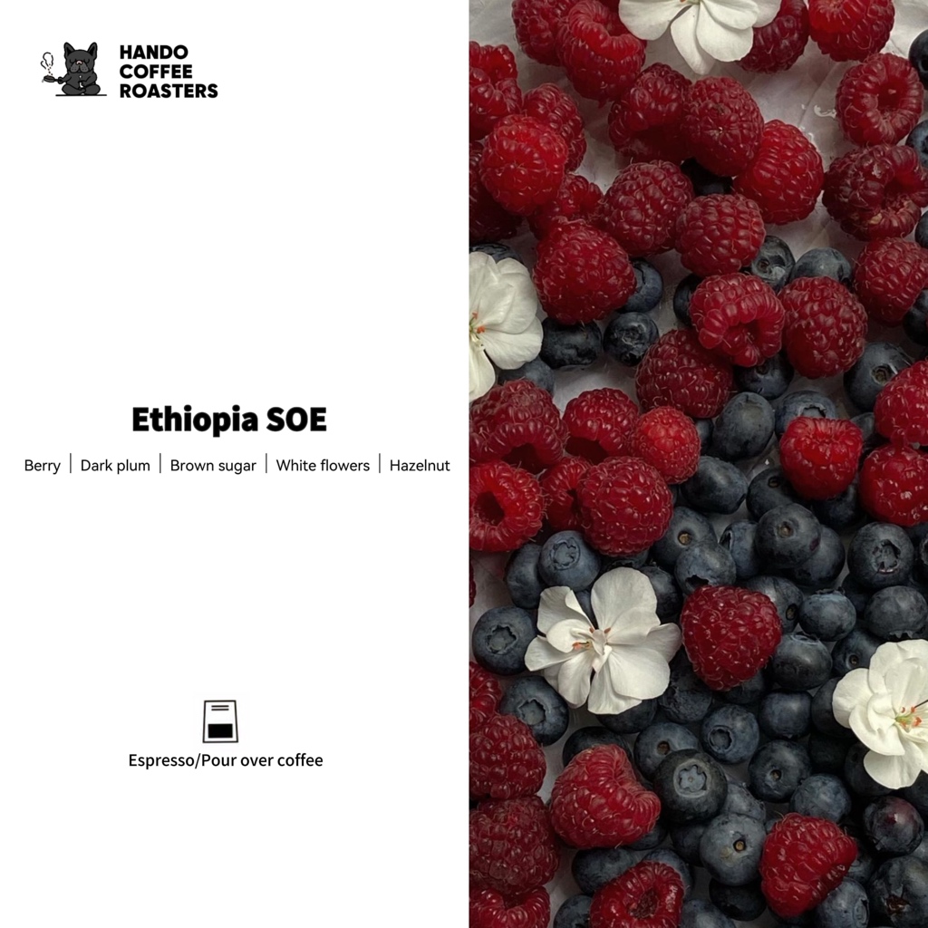 เมล็ดกาแฟ คั่วกลาง - “Ethiopia SOE” Ethiopia Sidamo ( 100กรัม )